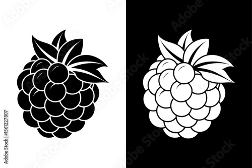 Minimal Blackberry Silhouette Vector. Fresh Berries Healthy Food Icon