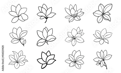 Bundle Champa Flower Soft Yellow Petal Drawing Flat Ton 25 Champa Flower Soft Yellow Pe