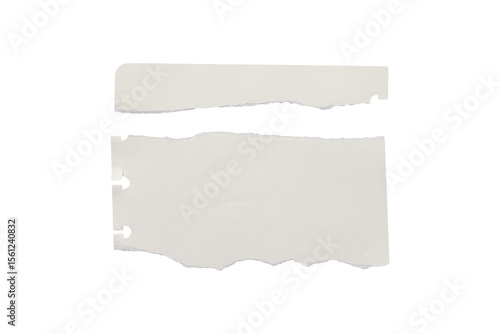 Wallpaper Mural set of torn or ripped paper isolated on transparent png background,realistic torn paper edges Torontodigital.ca