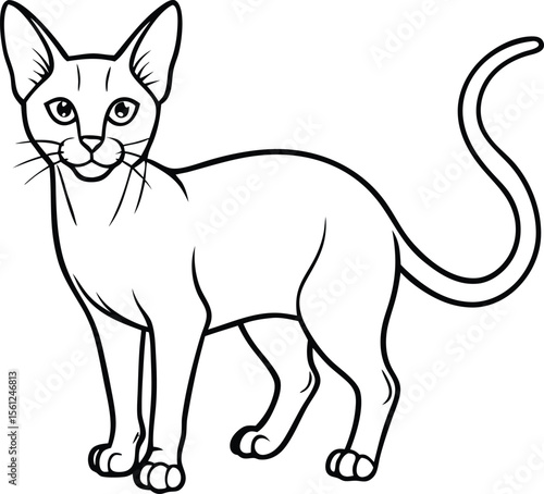 Abyssinian Cat Vector Illustration in Minimal Elegant Line Art Style,  Abyssinian Cat Vector, Elegant Cat Drawing, Minimal Pet Sketch