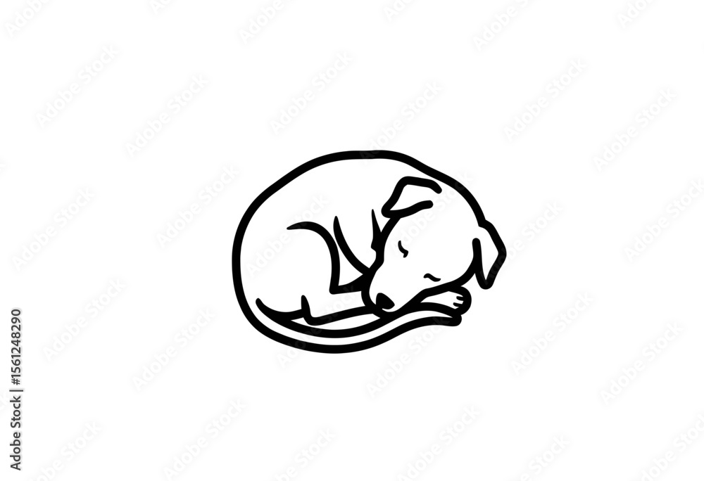Sleeping dog curled up in a relaxed position on a white background Sleeping dog curled up in a relaxed position on a white background