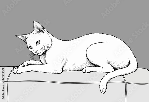 Cat lying down in relaxed position on a surface with gray background  