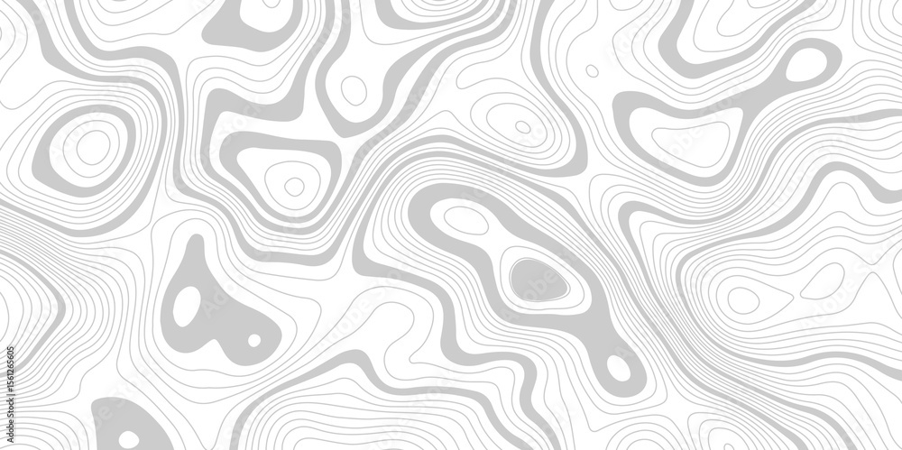 minimalist abstract topographic contour lines design white and gray, creating an abstract landscape pattern. The design is a modern. minimalist abstract topographic contour lines design white and gray, creating an abstract landscape pattern. The design is a modern.