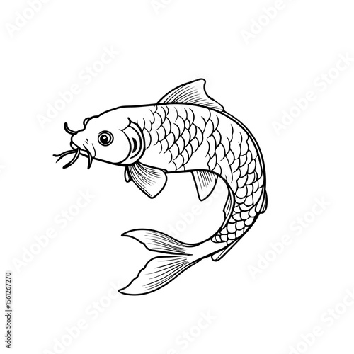 Elegant Koi Fish Line Art