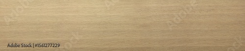 Photography poplar wood texture (Liriodendron tulipifera), poplar wood grain
