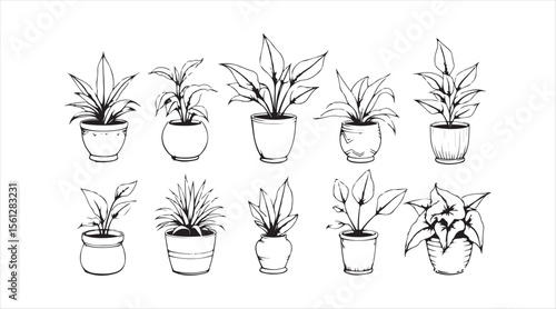 Hand-sketched houseplants in decorative pots, perfect for plant-themed projects.

