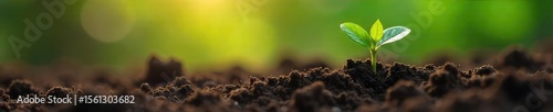 Tiny Sprout Emerging from Soil A Symbol of New Life and Environmental Hope on Earth Day