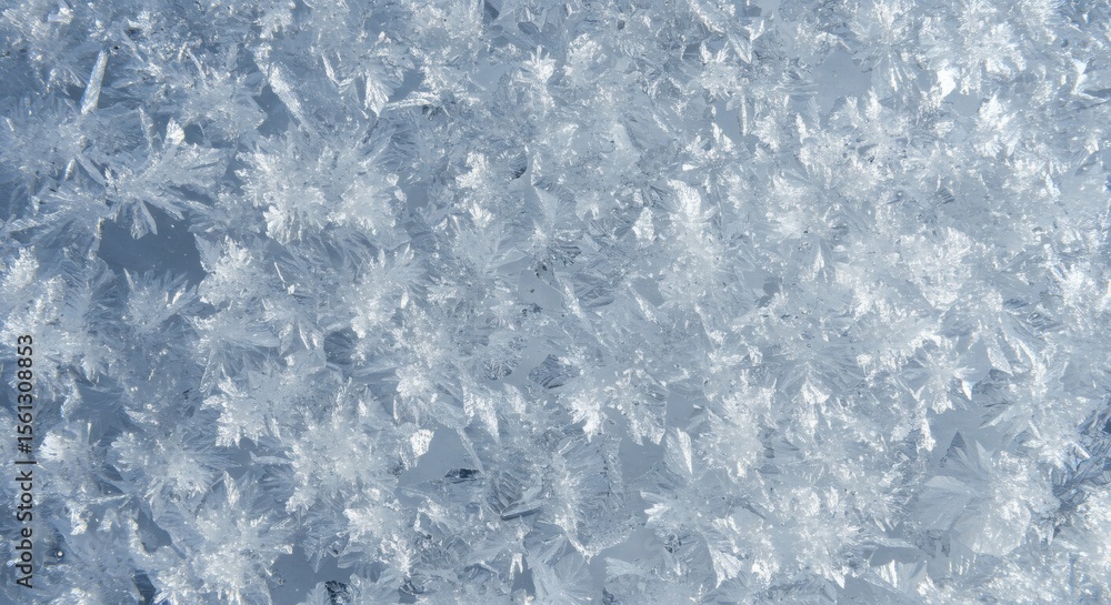 Obraz premium Stunning Close-Up of Delicate Ice Crystals A Winter Wonderland Texture