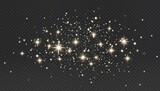 Stardust, vector sparkles, glitter, celebration, confetti golden shimmer bursts over a dark festive background, blending light, magic, and holiday glamour in a vintage sparkle effect.