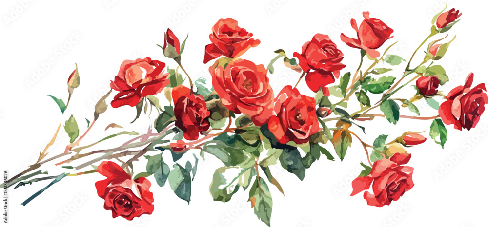 Red roses beauty Red roses beauty