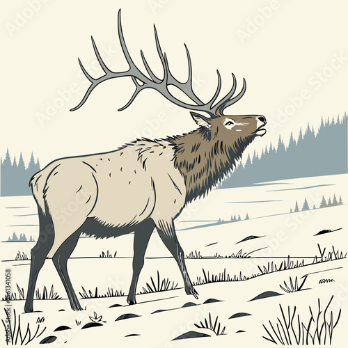 Majestic bull elk with large antlers calling out in a winter landscape