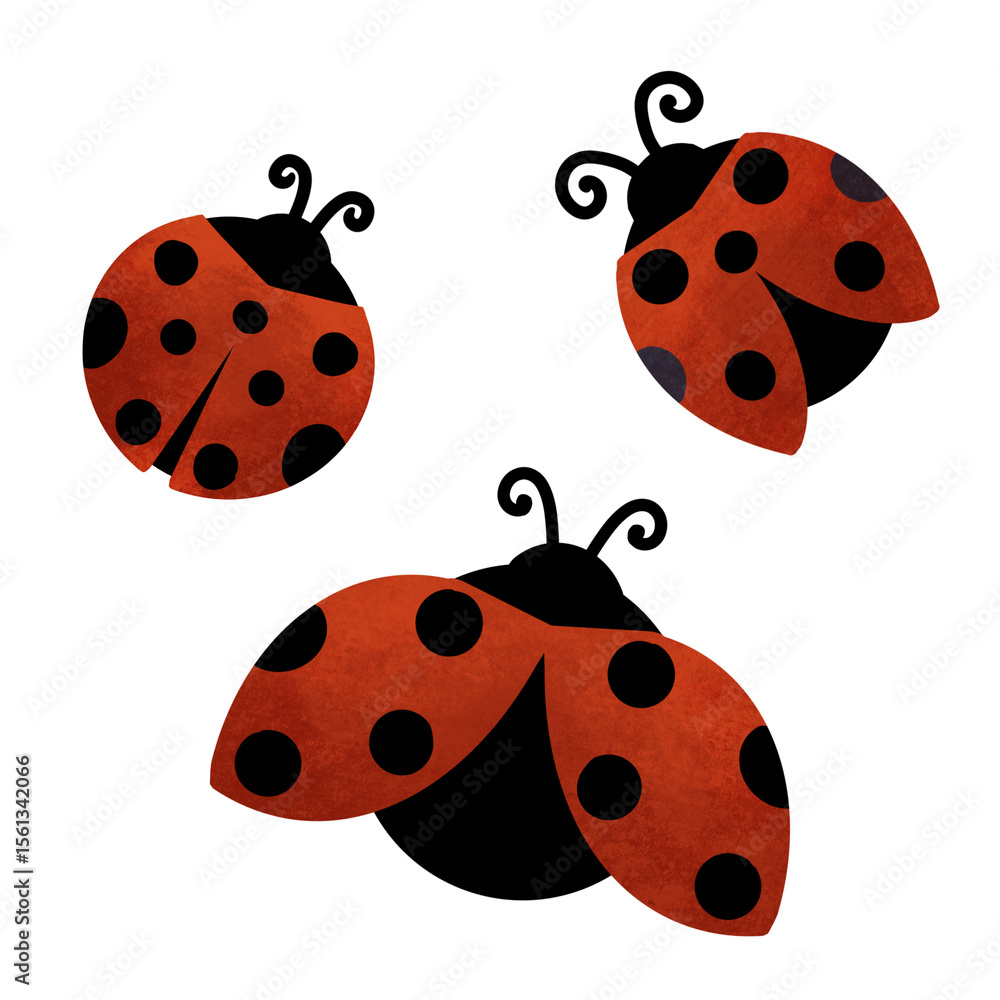 Obraz premium A playful illustration of three ladybugs with vibrant red wings and black spots. Each ladybug is shown in a different pose, featuring curly antennae and a simple, bold design on a white background.
