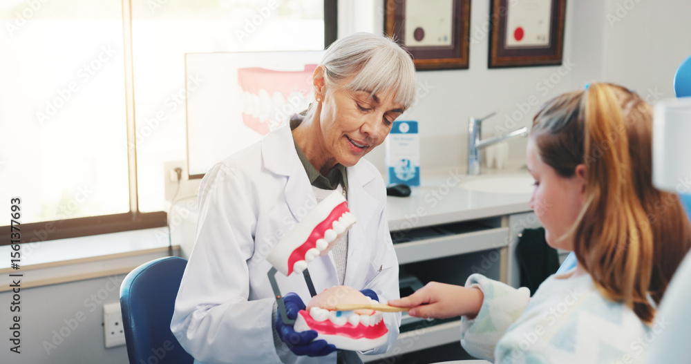 Fototapeta premium Girl, brushing teeth and dentist with mouth model for medical check, hygiene or dental health. Toothbrush, healthcare procedure and woman teaching child in clinic for oral care, clean or plastic mold
