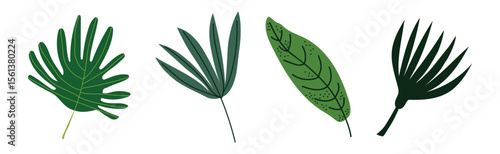 Green Tropical Leaf and Jungle Foliage Vector Set
