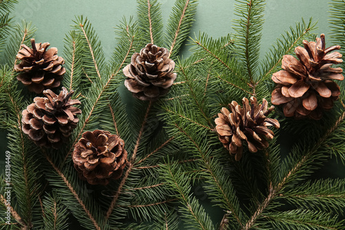 Pine cones and fir branches...