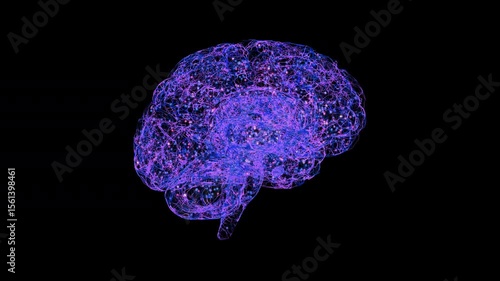 Healthy human brain, animation