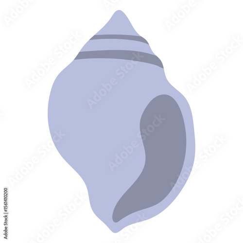 Sea Shell