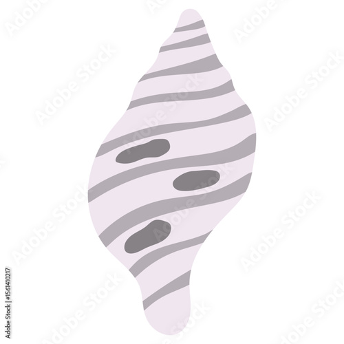 Sea Shell