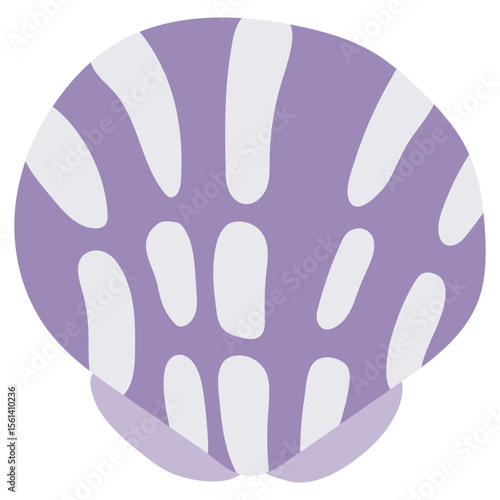 Sea Shell