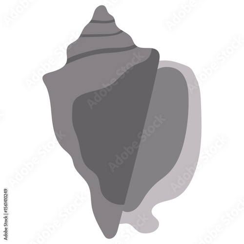 Sea Shell