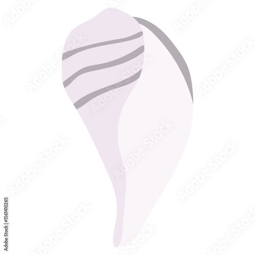 Sea Shell