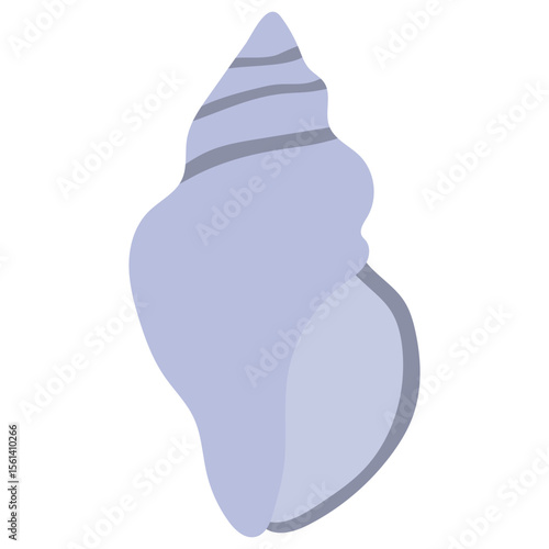 Sea Shell