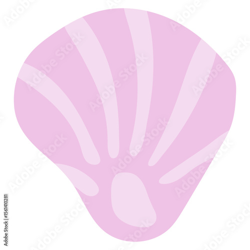 Sea Shell