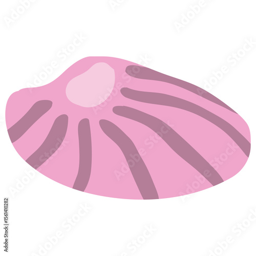 Sea Shell
