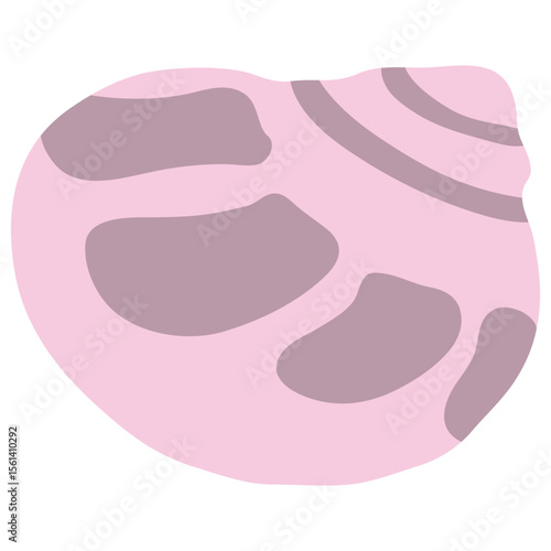 Sea Shell