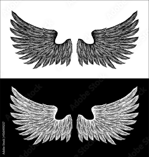 Eagle, angel or similar wings in a tattoo illustration vintage woodcut etching style