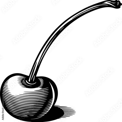 Hand drawn engraved cherry with long stem isolated on white background illustration