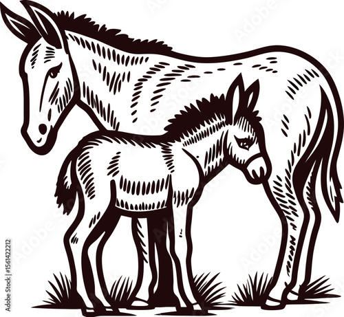 Hand drawn engraved donkey with foal standing on grass vintage animal sketch illustration