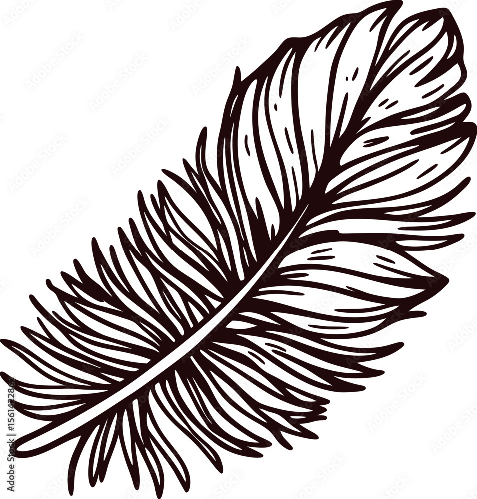 Obraz premium Hand drawn vintage feather illustration with detailed lines and textured shading isolated on white background