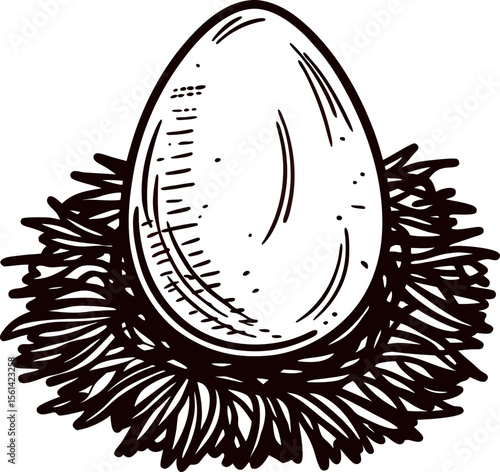 Hand drawn egg resting in a delicate nest with detailed vintage engraving illustration