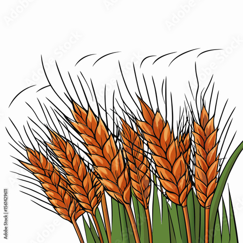 Dried Wheat Stalks Illustrating the Start of Fall for Autumn-Themed Blogs, Harvesting Websites, Seasonal Education, and Agricultural Awareness  