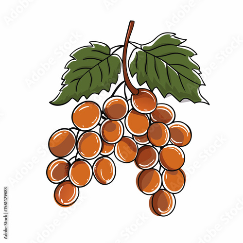 Grape Bunch Symbolizing the Start of Fall for Autumn-Themed Blogs, Culinary Websites, Seasonal Awareness, and Harvest Events  