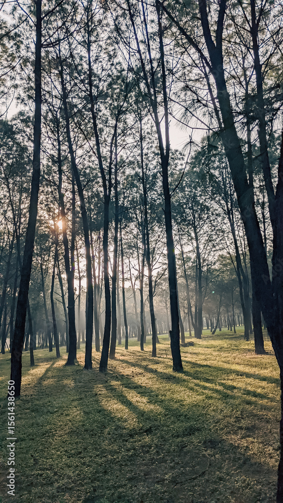 Obraz premium Witnessing the spectacular fireworks display illuminating Han River