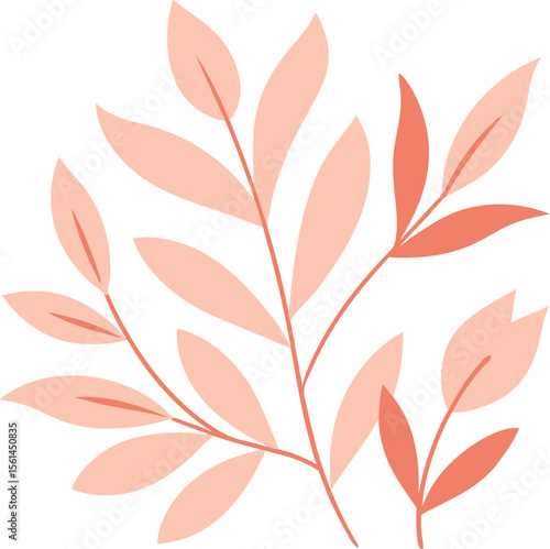 blush rose harmony no text