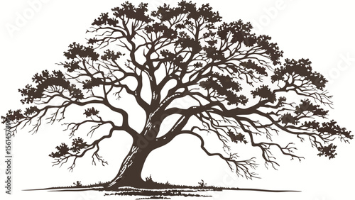 Wallpaper Mural Illustration of a large tree with many branches and leaves in a silhouette style on a white background Torontodigital.ca