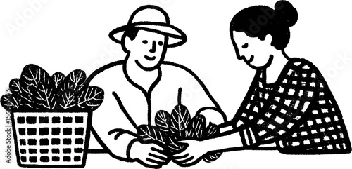 Farmer harvesting lettuce by hand with basket - rustic agricultural scene for farm-themed design