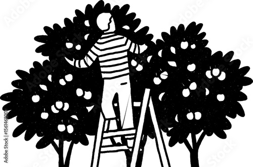 Farmer harvesting apples from tree sketch for seasonal design