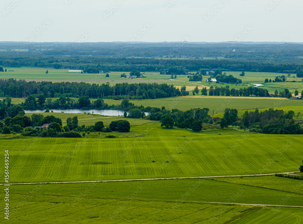 Fototapeta premium Grain fields in the countryside of Zemgale, Latvian nature.