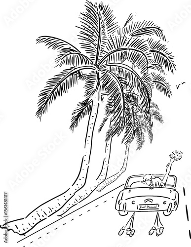 Just Married Car on Palm-Lined Road Sketch for Travel Use