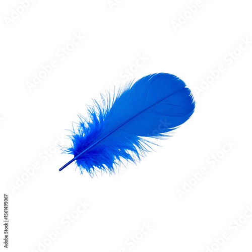 Light blue and white bird feather, soft and fluffy, isolated on white