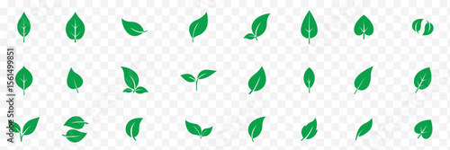  leaf icons set. Leaves icon on transparent background. Collection green leaf. eps 10 