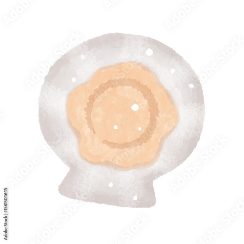 ホタテ　ほたて貝　帆立貝　貝殻付きホタテ　イラスト