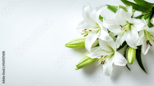 Elegant white lily flowers with green leaves on a white background for floral decoration.
