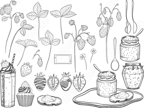 Collection of vector illustration strawberry and jam of berry and spoon and sandwich.