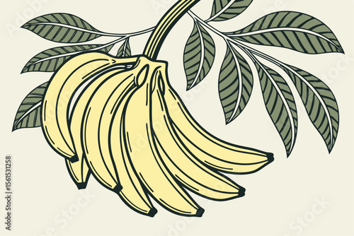 Vibrant bunch of ripe yellow bananas perfect for healthy food designs