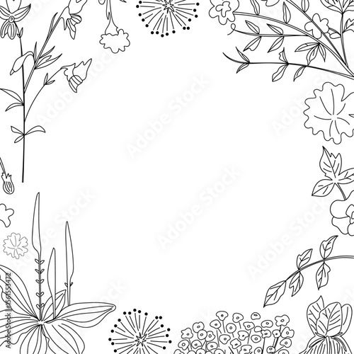 Medicinal plants border in doodle style in vector